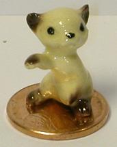 HR0008 - TINY "Siamese" Boxing Kitten (Click picture for full details)