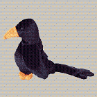 Caw the crow - Beanie Baby