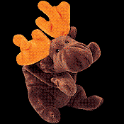 Chocolate the moose - Beanie Baby