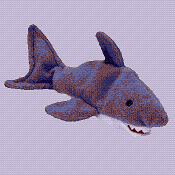 Crunch the shark - Beanie Baby