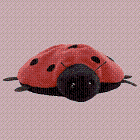 Lucky the ladybug - Beanie Baby
