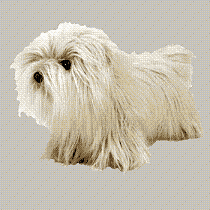 Duster the dog - TY Classic
