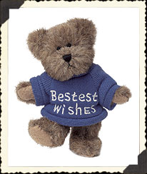 567036 - Bestest Wishes Bear