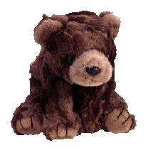 Cocoa the bear - Ty Classic