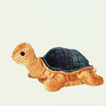Peekaboo the turtle - Beanie Baby
