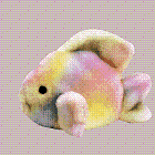 Coral the fish - Beanie Buddy