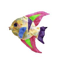 Aruba the angelfish-Beanie Baby (click picture for full description)