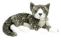 Purr the kitten