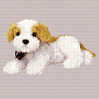 Darling the dog - Beanie Baby