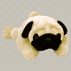 Pugsly the Pug dog - Beanie Baby