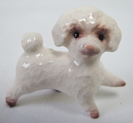 HR3230 - Toy Poodle