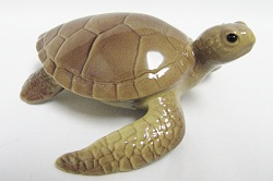 HR3256 - Sea Turtle
