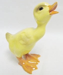 HR573 - Duckling