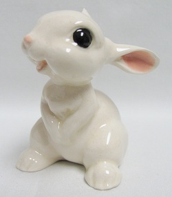 HR637 - Bunny