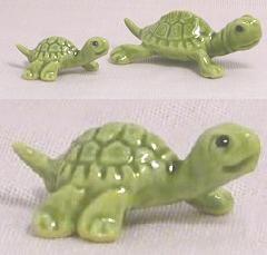 HR00279 - Baby Turtle