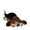 HR3155: Bassett Pup - Lying