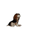 HR434 - Beagle Pup