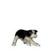 HR1760: Boston Terrier Pup