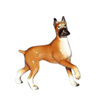 HR3300 - Boxer Papa