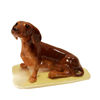 HR - Dachshund, Pedigree Line