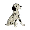 HR497 - Dalmatian
