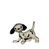 HR - Dalmatian Pup