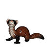HR03319 - Ferret - Lying
