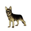 HR - German Shepherd