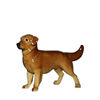 HR - Golden Retriever