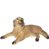 HR - Golden Retriever - Lying