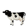 HR00293 - Holstein Cow