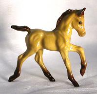 HR235 - Buckskin Colt