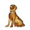 HR8881 - Labrador- Gold