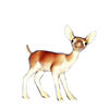 HR202 - Mama Deer