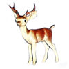HR189 - Papa Deer