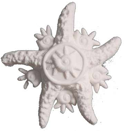SF3 - Friendship Starfish