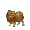 HR3130 - Pomeranien