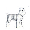 HR0898 - Schnauzer