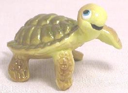 HR02000 - Turtle