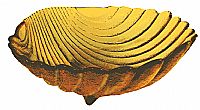 06010AM - 12'' Pretty Patio Shell Bowl in Autumn Gold