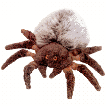 Hairy, the Tarantula Spider<br>Ty Beanie Baby<br>(Click on picture for full details)<br>