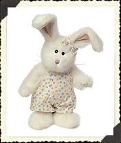 825305 -"Doppity", Rabbit/Bunny (Click on picture for full details)