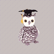 Smart the owl - Beanie Baby