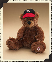 919384 - Dale Earnhardt #3 Bear