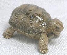 HR03229 - "Desert Tortoise' (click on picture for full description)