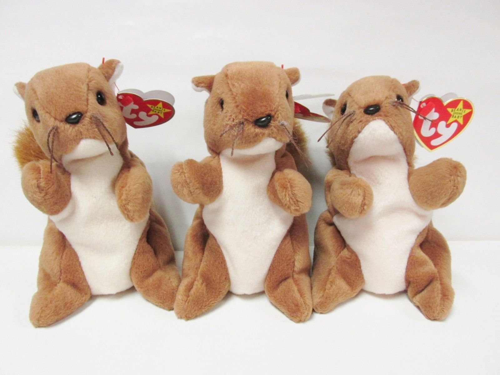 squirrel beanie baby